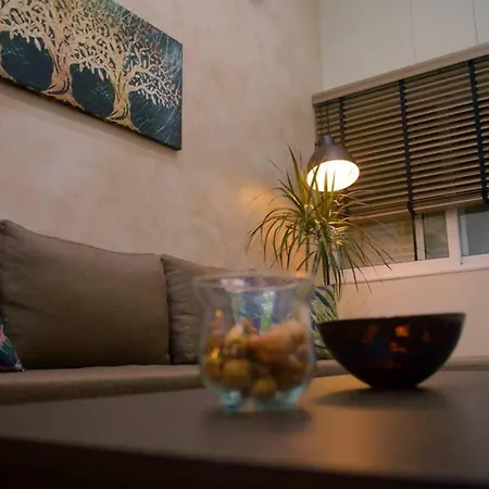 στούντιο στο κέντρο της πόλης. Lägenhet *